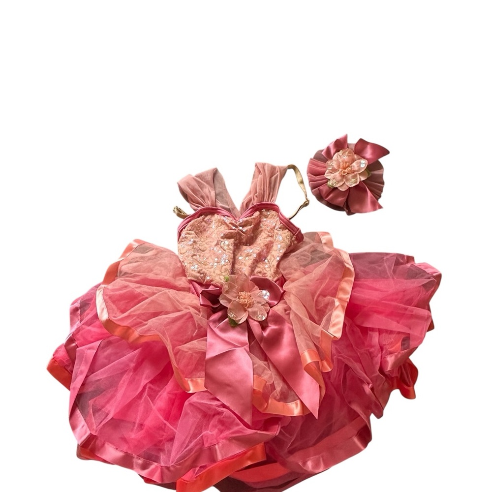 A Wish Come True Pink Lace and Tulle Dress with Sequins
